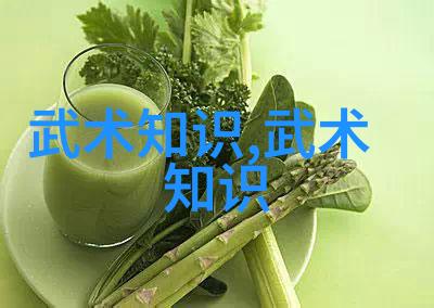 中国现在最厉害的门派武当松溪神意派内家拳之巅峰绝技