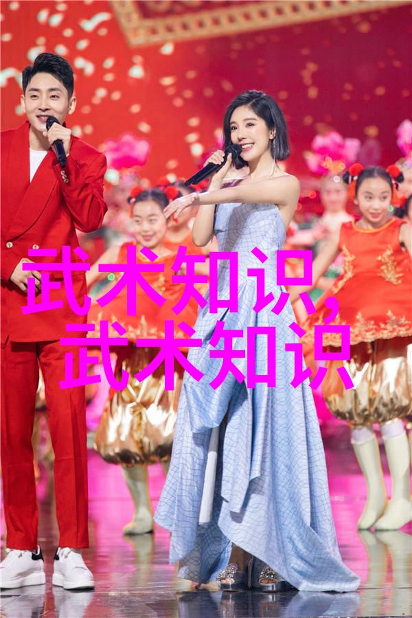 中国功夫-探秘中国功夫中的拳法艺术从老架到新招