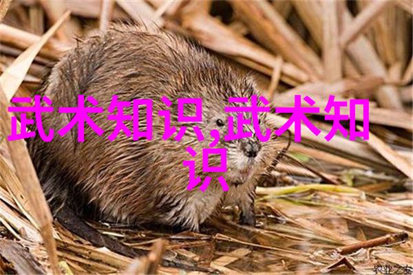 幽梦纂卷古风帮派名号集