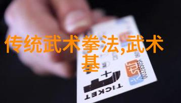 中国武术的丰富多彩揭秘传统流派与独特风格
