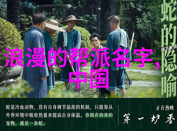 武术宝库揭秘中国传统武术的精髓与魅力