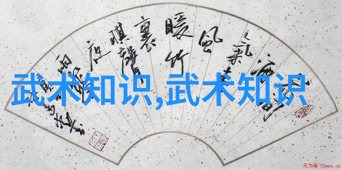 武术活动名称大全-尽现中华武学武术活动名称大全
