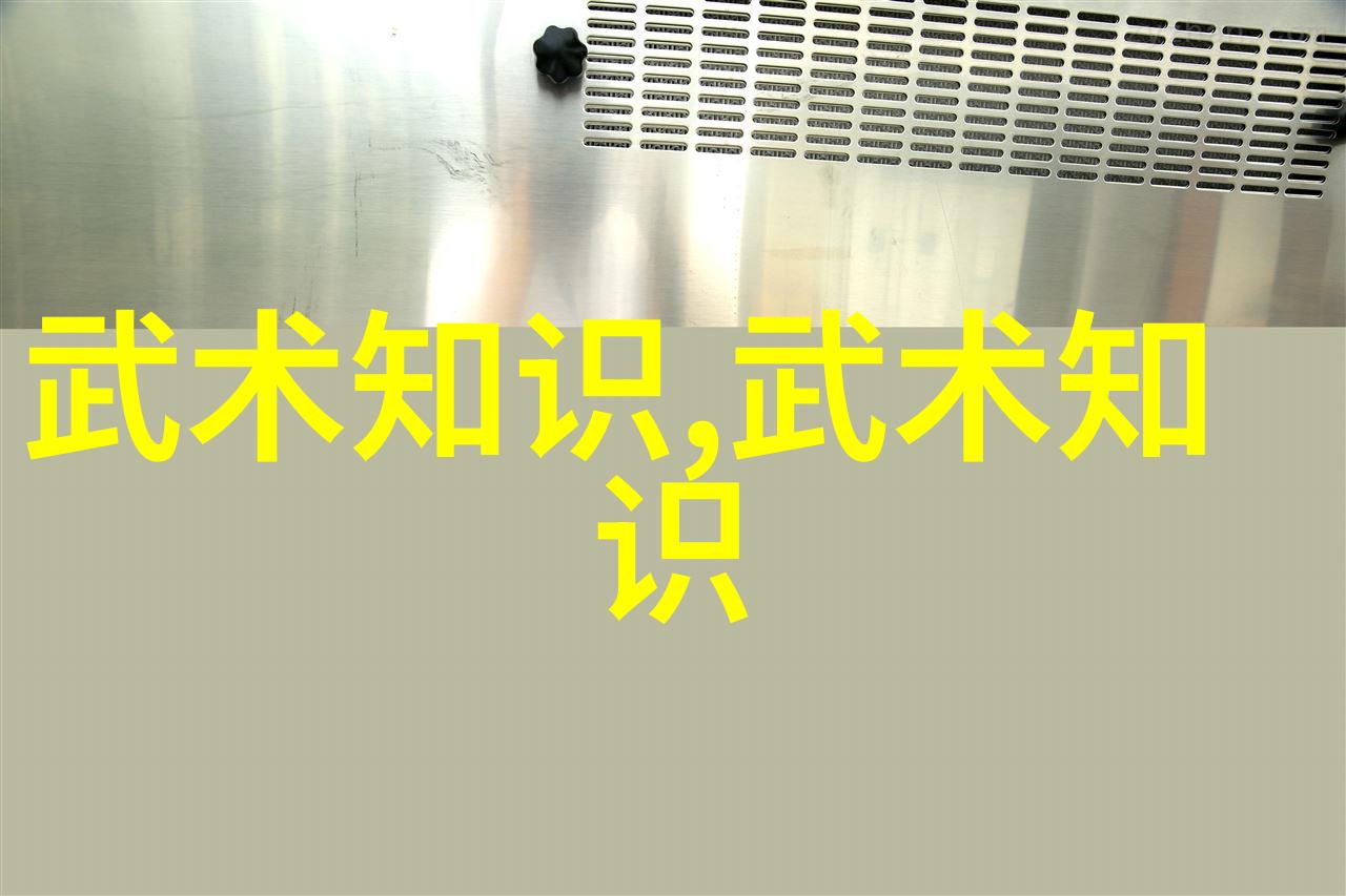 笑傲江湖拳法十六招式图解揭秘武林高手的笑话背后