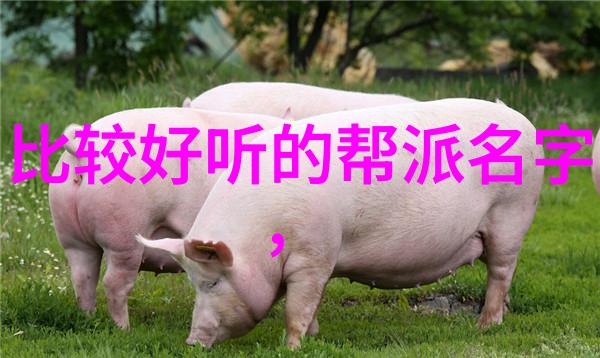 中国武术门派大集合从打虎到跳水揭秘每个门派的绝活