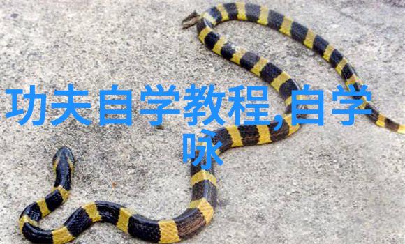 公孙离的温馨邀请
