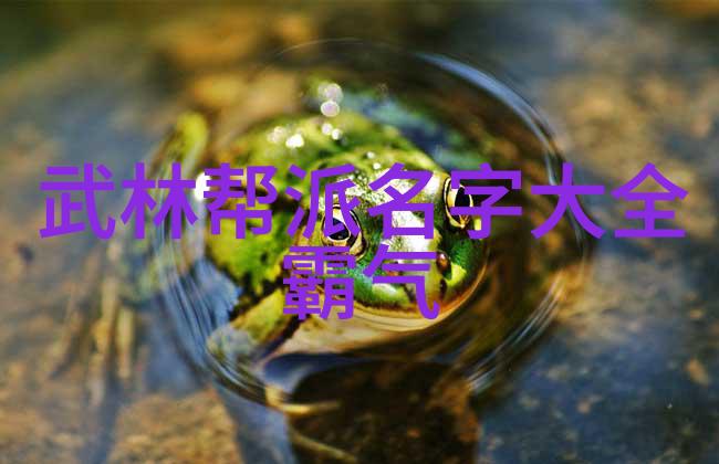 武林秘籍招式大全带图解锁千年古谱揭秘神功秘法