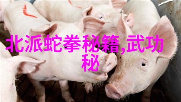 中国武术的丰富多彩揭秘众多流派的独特魅力