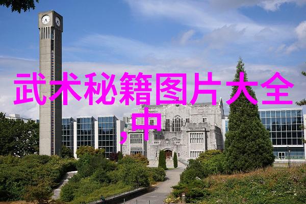 中国30个武术门派大全探索中华武学的精华与多样性