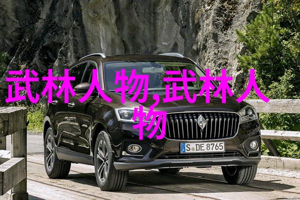 中国武术-探秘中国30个武术门派大全传统与卓越的融合