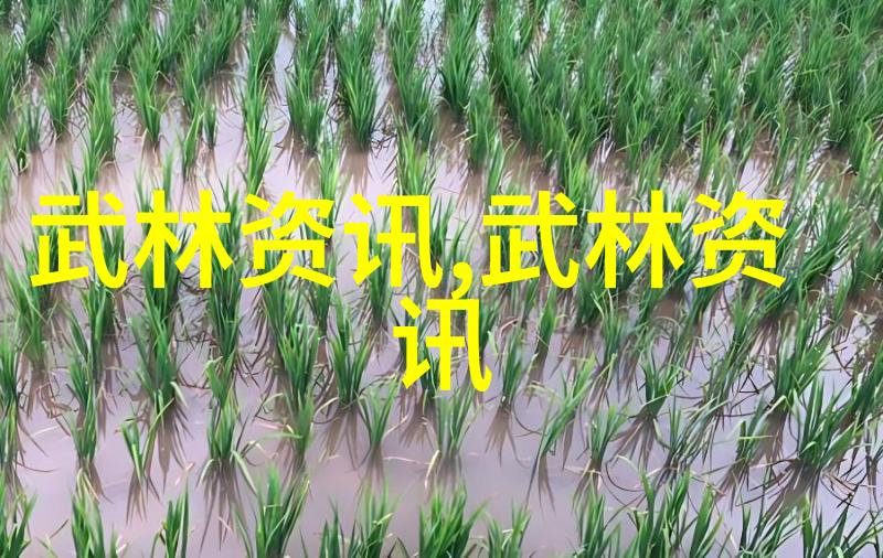 霸气十足的帮派名字 - 铁拳纵横霸主之名