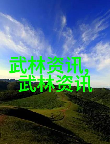 中国武术秘籍书探究解读古代武学典籍中的内在哲理与实战技巧