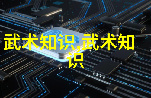 中国功夫秘籍大全揭秘太极拳与气功的精髓