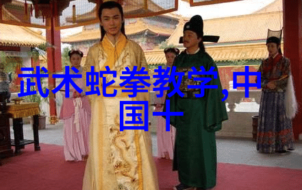 掌握武林秘籍详解武术教程与练习技巧