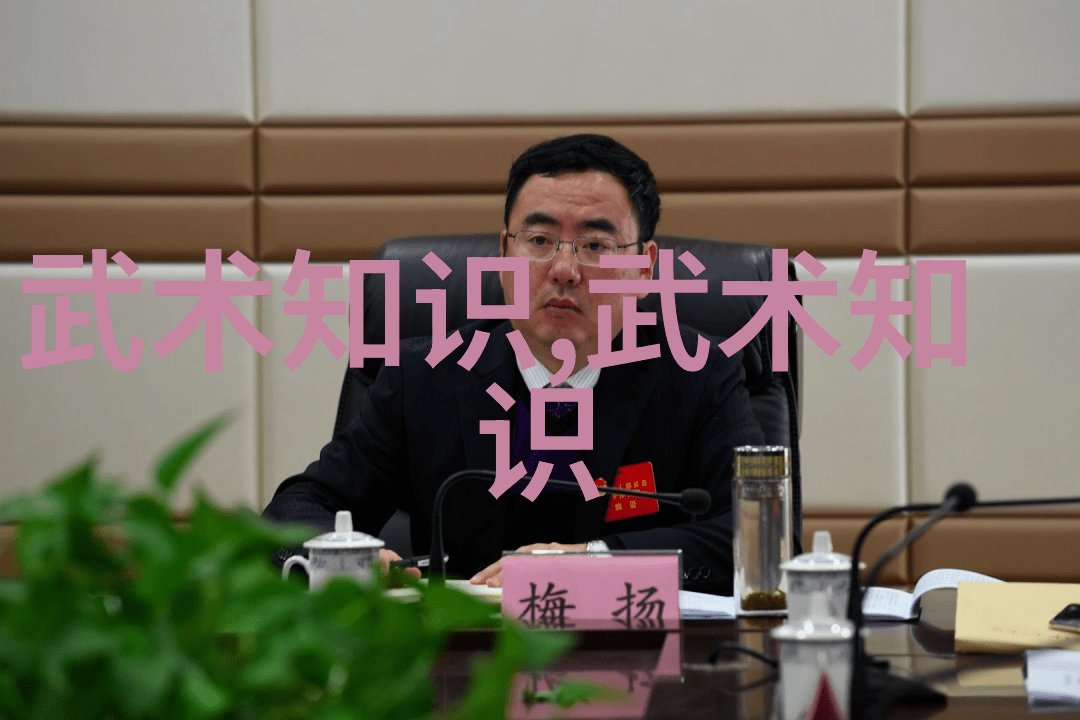 劲旅风云武术活动之名