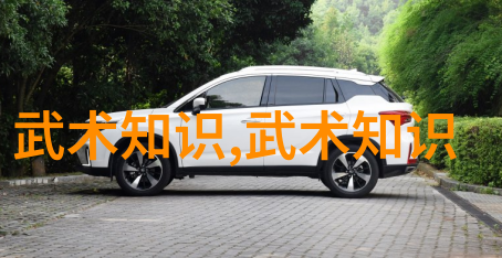 杨式大架中架小架中国功夫秘籍大全