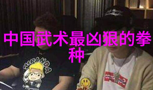 传承者们的使命守护中国体系最伟大的武学遗产