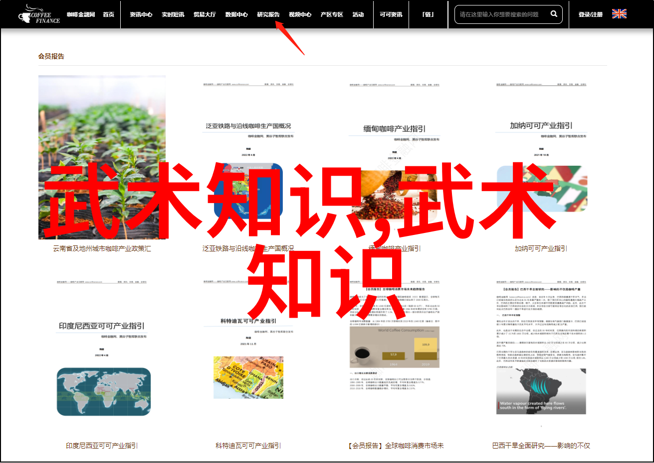 太极拳24式逐步解析从基础动作到精髓技巧