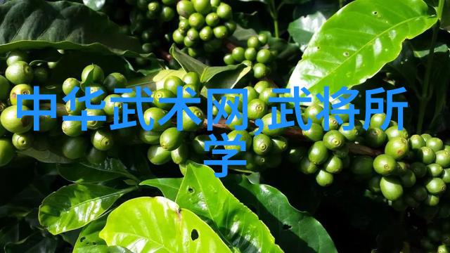 武术活动名称大全我来教你这些超酷的武侠名词