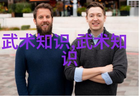 金庸武功全集中的独孤九剑与杨式太极拳融合激发内力独孤九剑杨式太极拳发劲