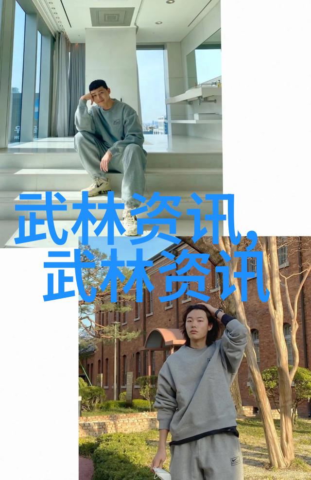 武当派中国传统武术中的历史悠久和文化内涵丰富的门派