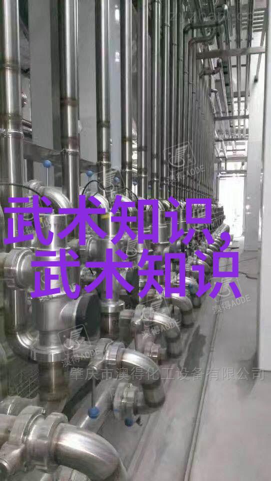 武术秘籍-修炼身法揭秘武林绝学
