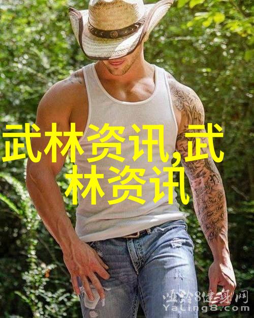 中国拳法大乱斗揭秘古老武功的笑料与招式