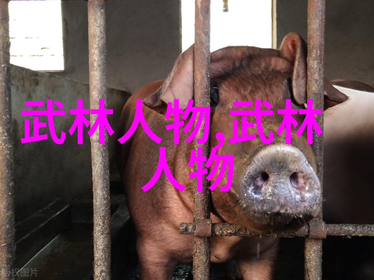 太极拳24式图解教你我如何轻松掌握这门古老武术的基本步骤