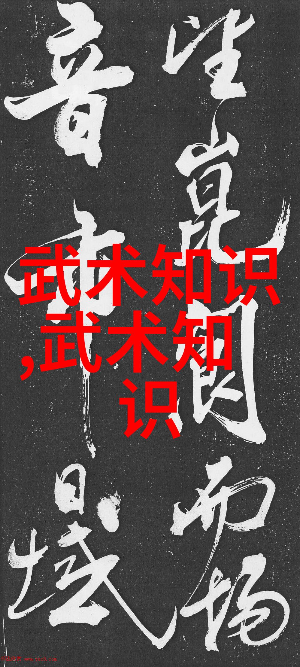 拳影千变揭秘中国武术的百家雄心与独门秘籍