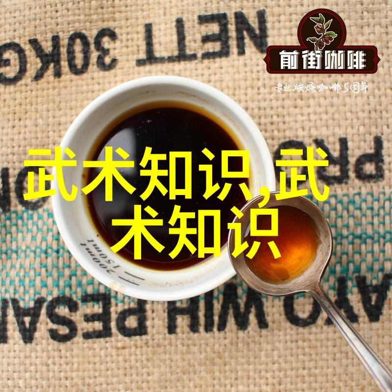 心意拳之旅肖氏心意拳传承与挑战