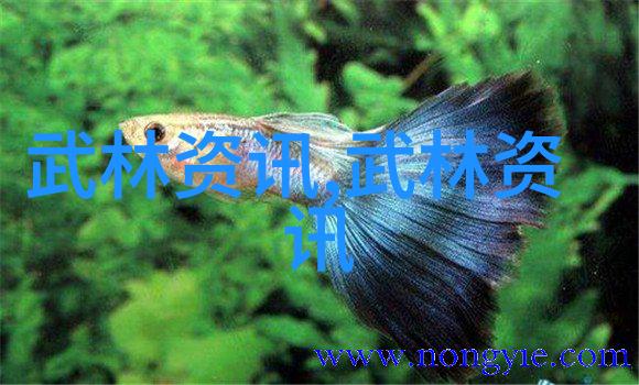 探索现代门派的多样性从武侠到科幻各式门派的兴起与影响