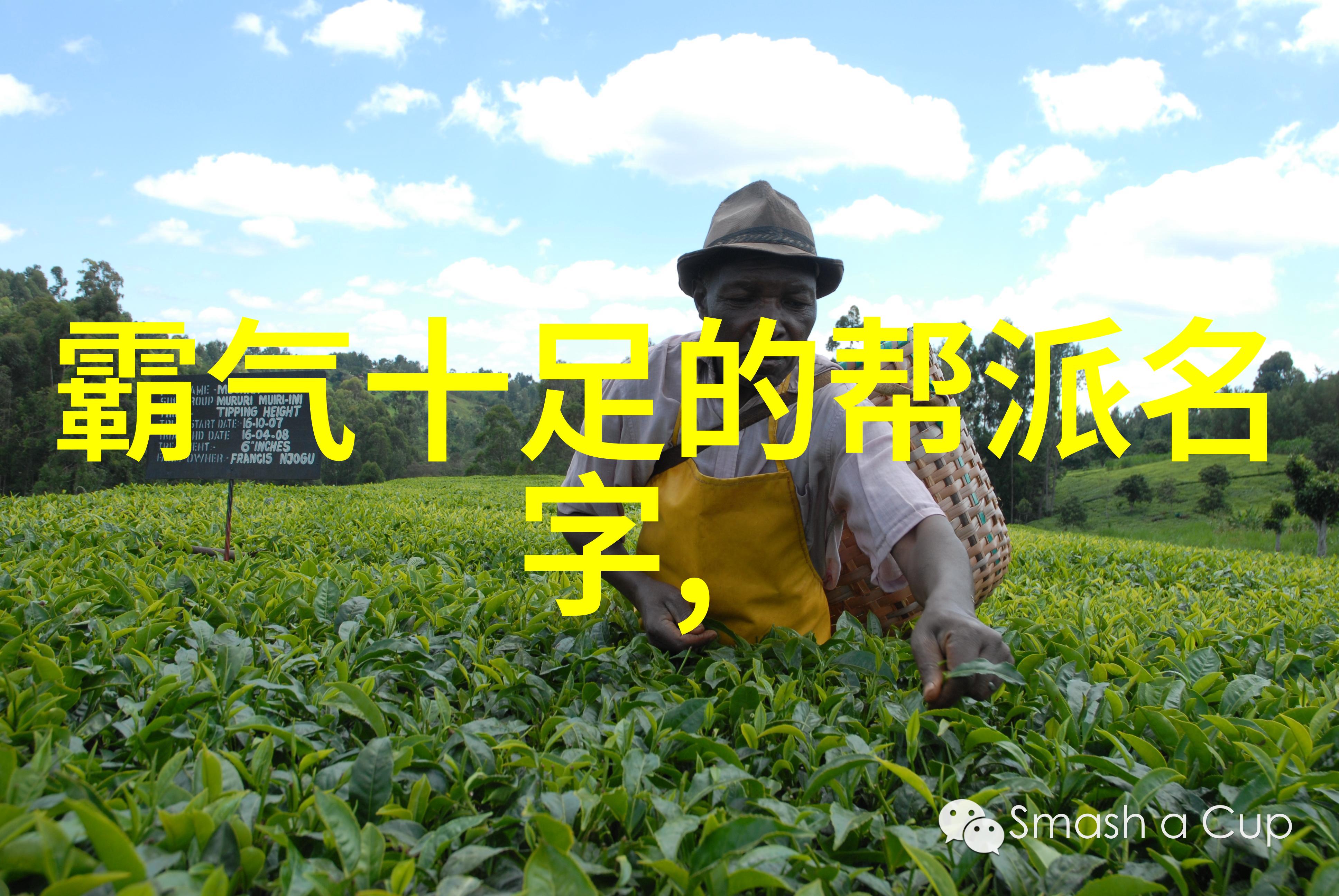 武术刚开始练什么翁心诚的太极拳内劲整合之妙犹如初夏细雨滋润大地悄无声息却深远影响