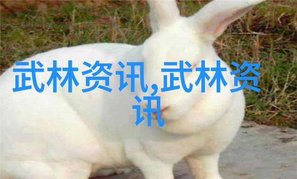 太极拳24式图解全解深入探究内外合一之道