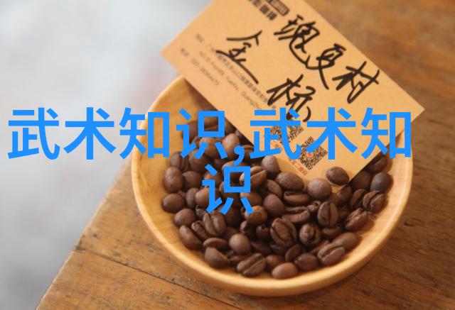 修炼之道探索中国武功秘籍背后的哲学