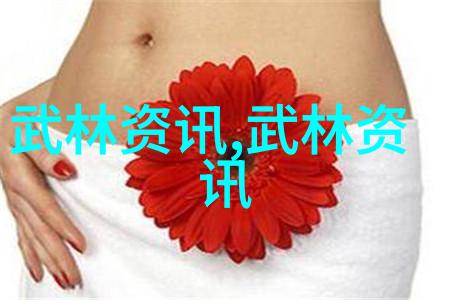 守护和平抛弃武器世界各地成功实施禁用武术案例分析