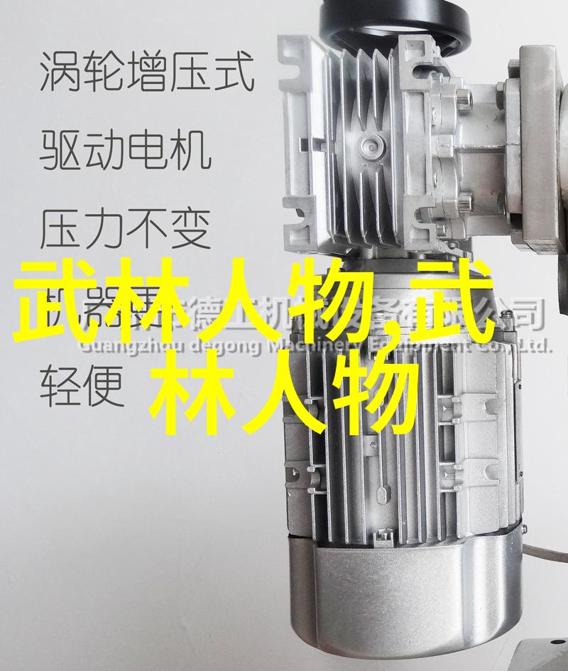 道德经中的智慧与功夫大全从见迹见形到无心成化的武学探索-罗永平