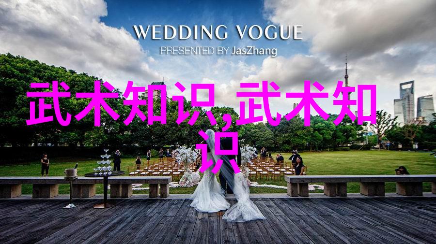 武当松溪神意派内家拳融合玄幻各种剑法名称大全展现出一门深邃无尽的武学之道