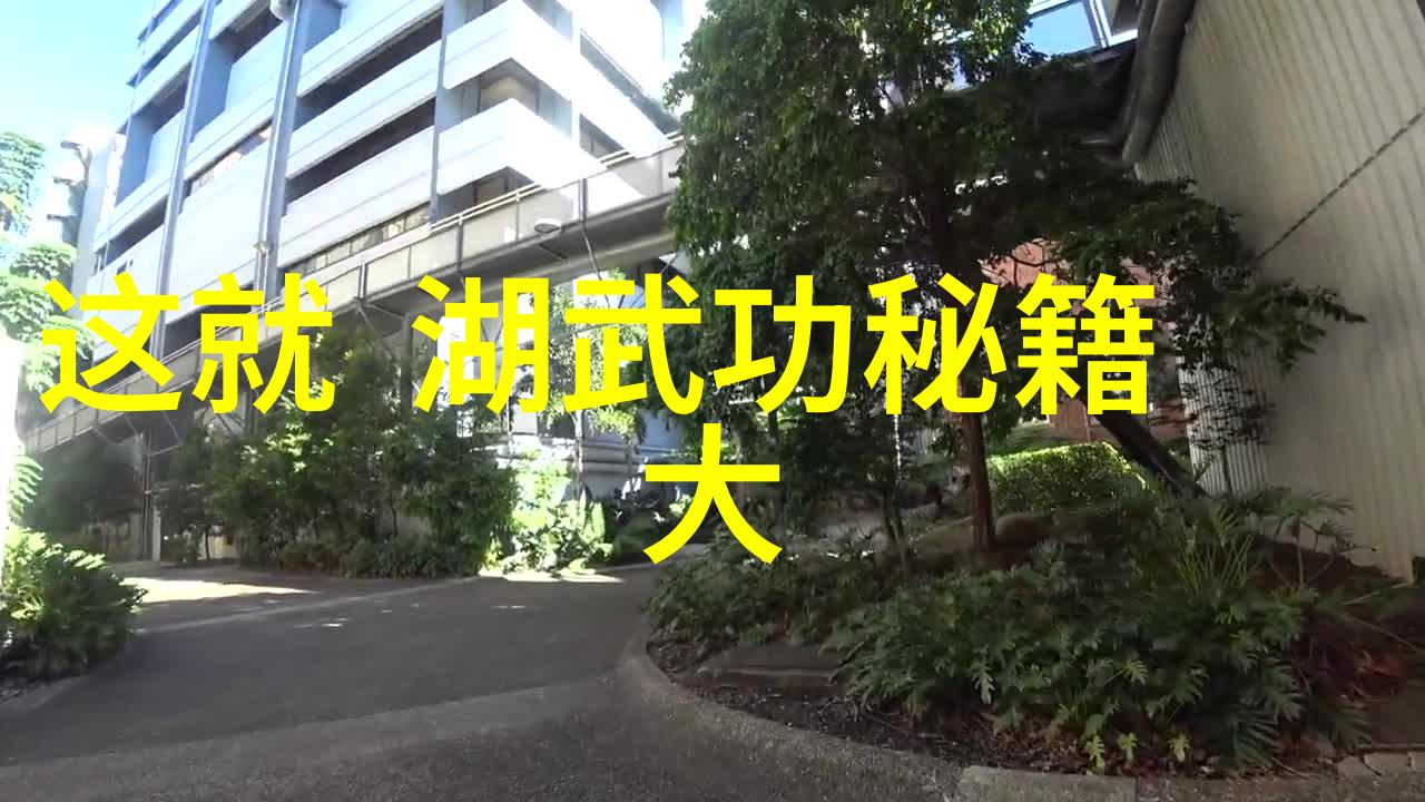 十二武技探索中华武术的基石
