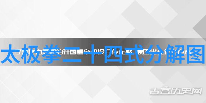 武林绝学十大实战拳法揭秘