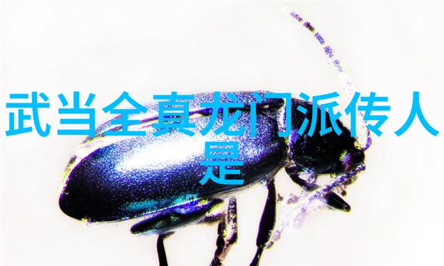 肠胃炎之战三餐奇迹计划表