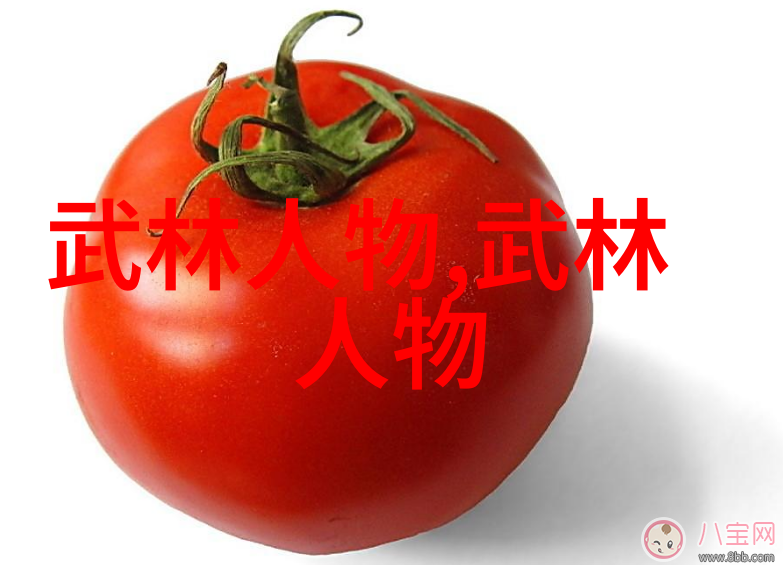 太极拳舞动丹田自弹奏24式口诀秘籍轻松学
