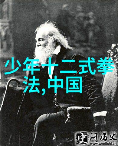 学武之道追逐功夫的梦想