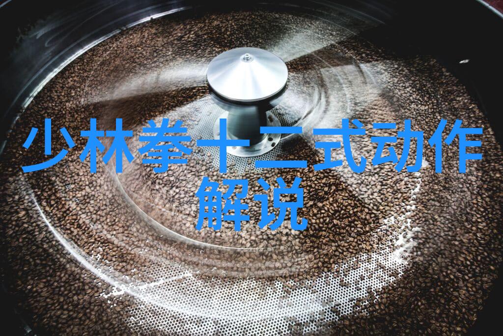 开门八极拳揭秘中国武术中最庞大门派的神秘世界