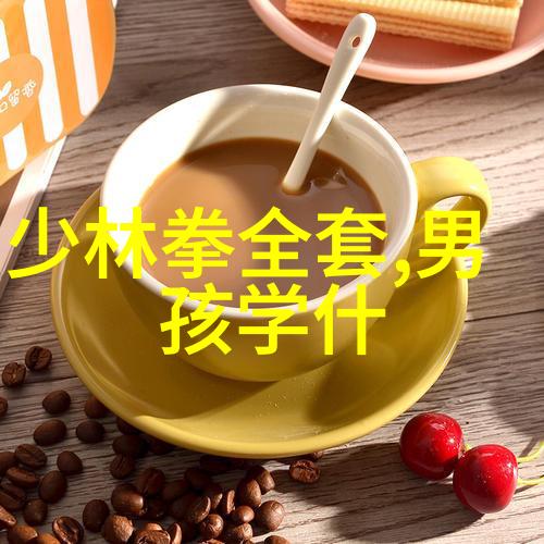 苏家拳古风好听帮派的门派拳种反复传承其精华