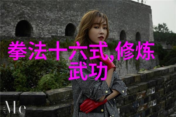 传统与现代的融合中国30大武术门派的发展历程