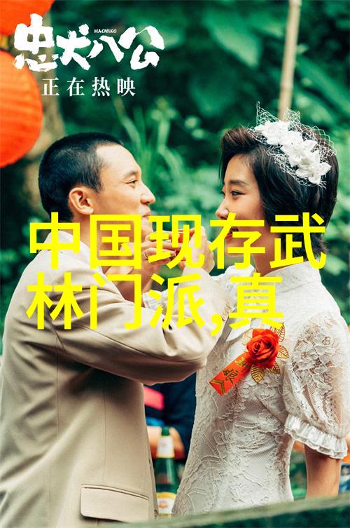 水流不息风雨不动探究形式与实用之间的差距