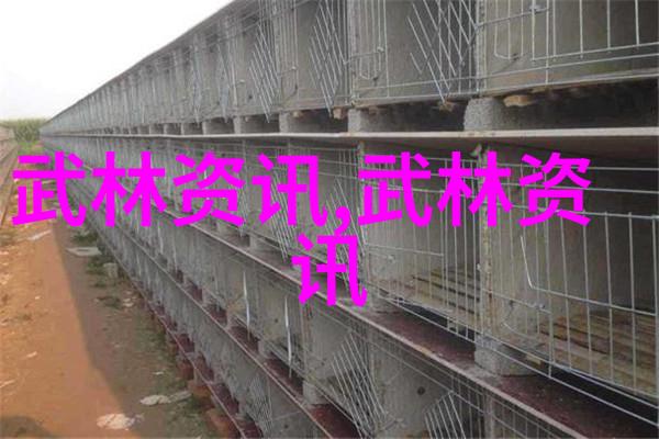 霸气归来忽雷太极拳
