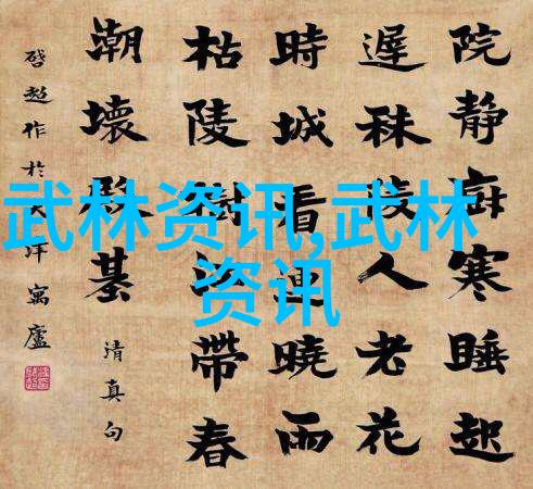 掌握基础入门拳法的精要与实战技巧