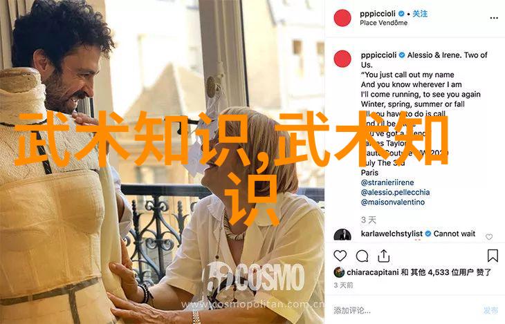探秘古代武者的绝学揭秘古武功法的神秘面纱
