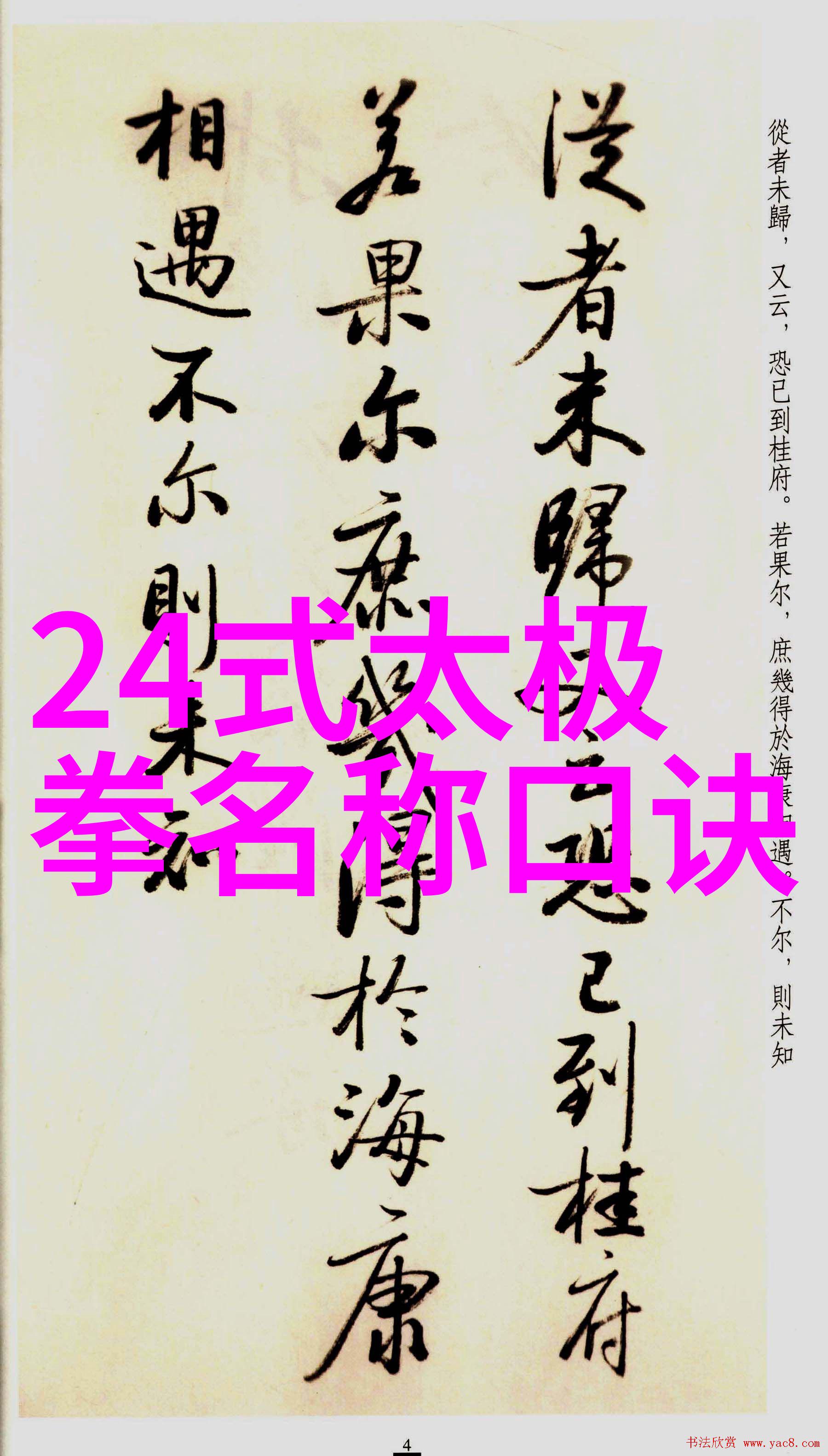 中国武术丰富多彩的拳法世界拳影纷飞古韵流传