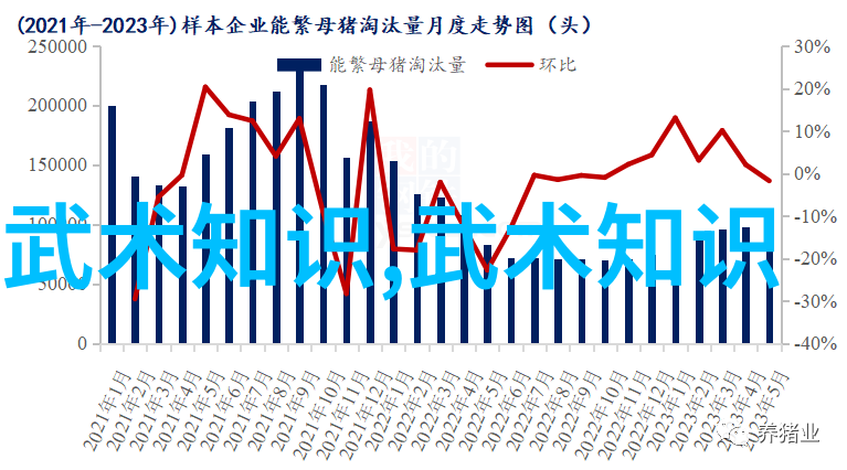 身体是舞台生命是戏剧 武术活力的艺术表现形式
